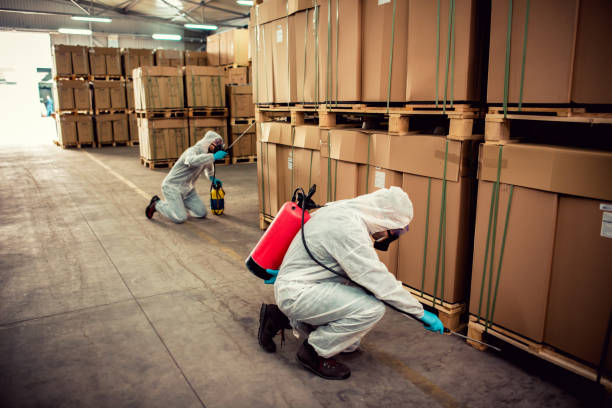 Best Pest Prevention Services  in Apple Valley, MN
