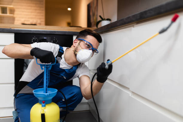Best Pest Prevention Services  in Apple Valley, MN