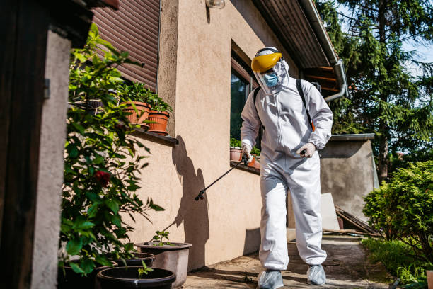Best Residential Pest Control  in Apple Valley, MN