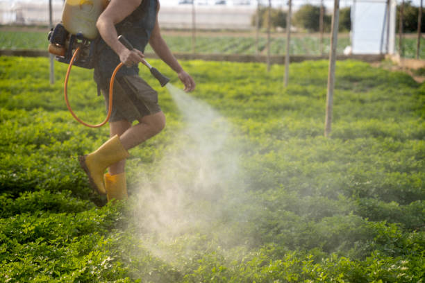 Best Wildlife Control Services  in Apple Valley, MN