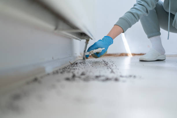 Best Pest Prevention Services  in Apple Valley, MN